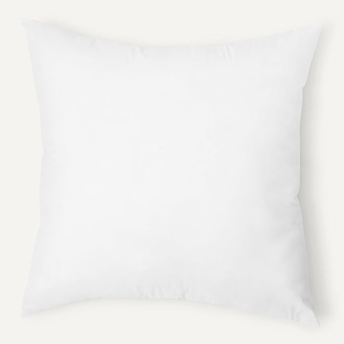 Amazon Basics Square Hypoallergenic Pillow Insert, Sofa Bed Couch Decorative Stuffer, 20", 2 Pack