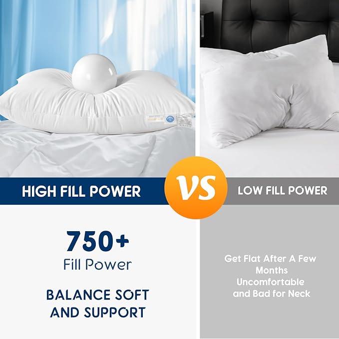 LBRO2M Canadian Fluffy Goose Down Pillow Standard Size 750 Fill Power 80% Goose Down with 600TC 100% Cotton Pillow Shell Down Pillows Ideal for Plush Comfort and Support (20"X26" Setof 1)
