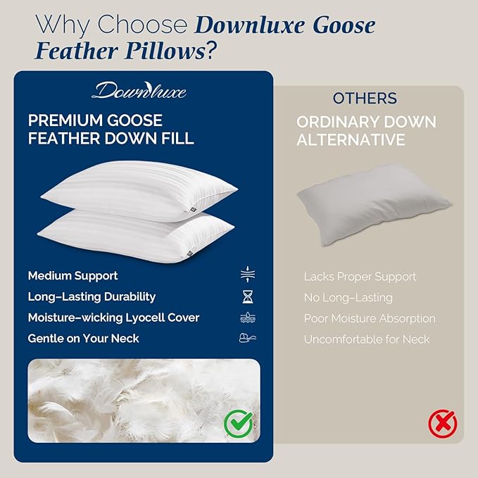 downluxe Goose Feather and Down Pillows - Hotel Collection Feather Pillows Set of 2 for Back, Stomach or Side Sleepers, Queen Size (20"x28")