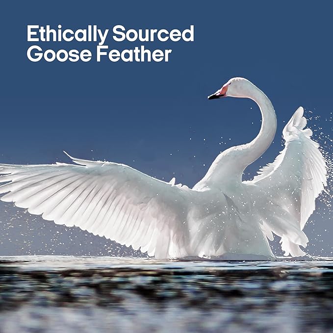 puredown® Goose Feathers and Down Pillows, Premium Medium to Firm Bed Pillows for Sleeping, Luxury Pillows with 100% Cotton Cover, 2 Pack, Standard Size, 20x26 Inches