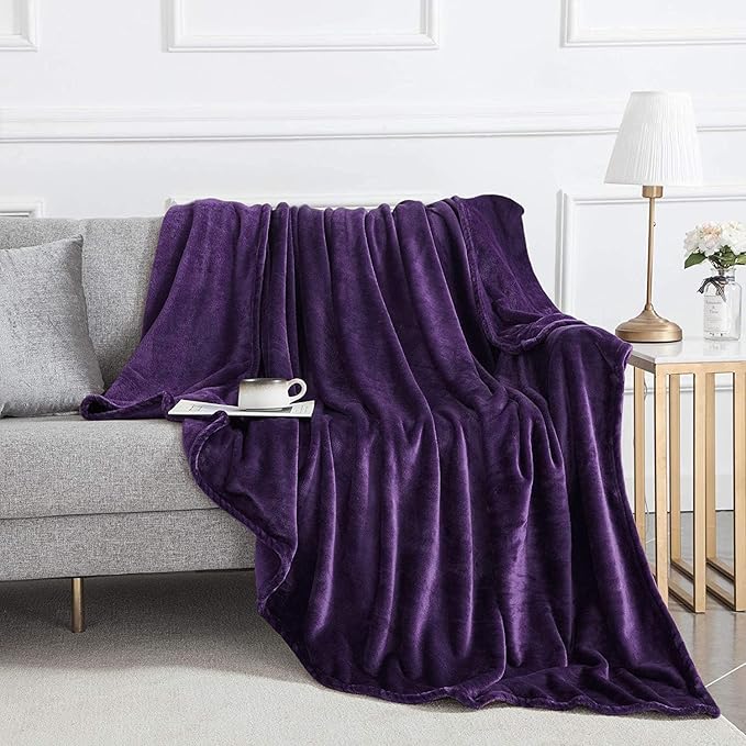 IR Imperial Rooms Fleece Blanket Twin Size 60 x 80 Inches - Super Soft Fluffy Purple Throw Blanket for Sofa and Bed - Warm and Cozy Lightweight 400 GSM Microfiber Bed Throws Blankets