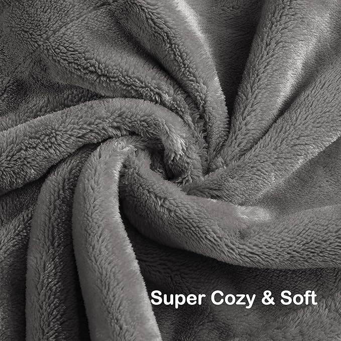 Electric Heated Blanket Queen Size 84"x90", Dual Control Fast Heating Cozy Heated Blanket for Bed, 10 Hours Auto Off & 4 Heating Levels, Warm Gift for Grandma-Light Gray