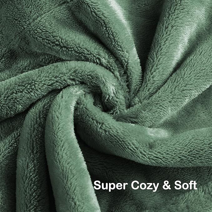Electric Heated Blanket Queen Size 84"x90", Dual Control Fast Heating Cozy Heated Blanket for Bed, 10 Hours Auto Off & 4 Heating Levels, Warm Gift for Grandma-Sage Green