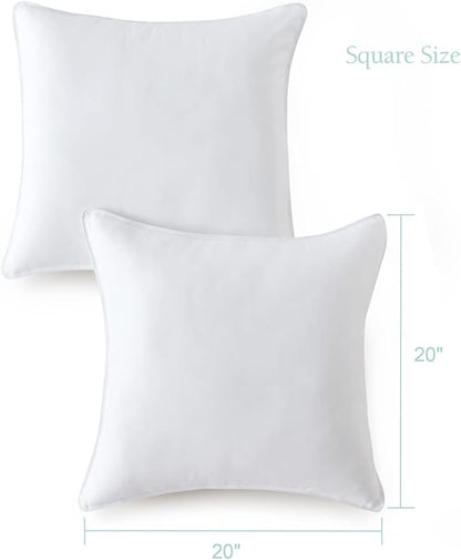 Seward Park Throw Pillows 20 x 20 inch Set of 2, Soft Fluffy Decorative Pillow Inserts for Couch Cushion and Sofa