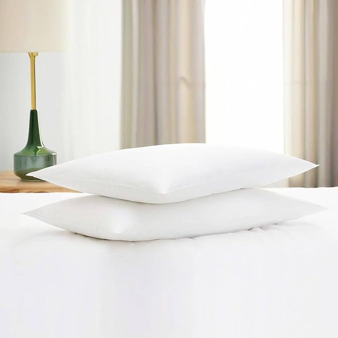 Flat Ultra Thin Bed Pillows Queen Size Pillow Set of 2 Extra Soft Down Alternative for Stomach Side Back Sleeper White 20x30inches