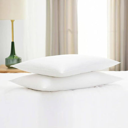 Flat Ultra Thin Bed Pillows Queen Size Pillow Set of 2 Extra Soft Down Alternative for Stomach Side Back Sleeper White 20x30inches