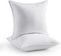 Seward Park Throw Pillows 20 x 20 inch Set of 2, Soft Fluffy Decorative Pillow Inserts for Couch Cushion and Sofa