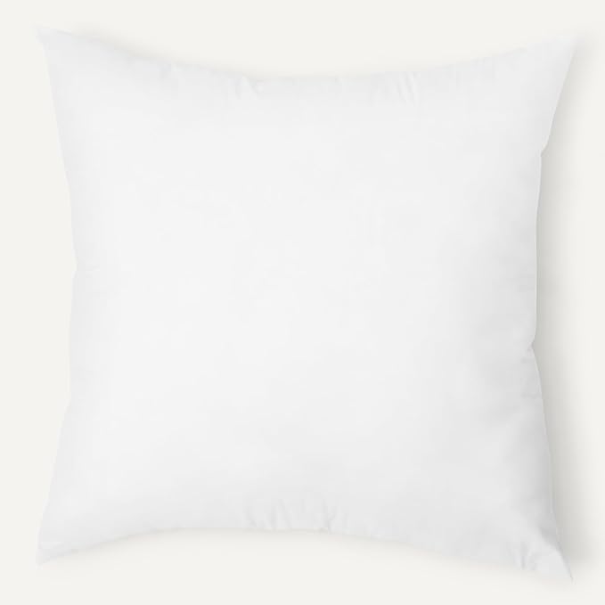 Amazon Basics Square Hypoallergenic Pillow Insert, Sofa Bed Couch Decorative Stuffer, 18", 2 Pack