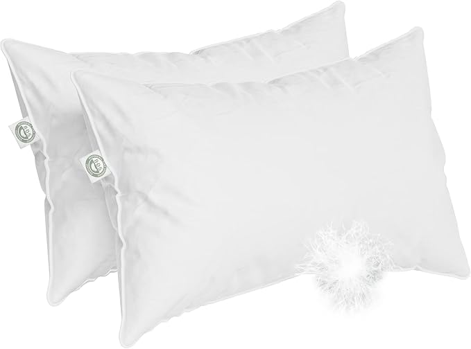 Standard Size - Set of 2 - Soft Luxury Hotel Pillow - 100% European Goose Down 800FP - Featherless for Comfortable Sleep