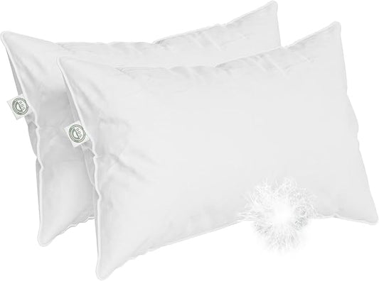 Standard Size - Set of 2 - Soft Luxury Hotel Pillow - 100% European Goose Down 800FP - Featherless for Comfortable Sleep