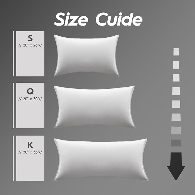 Globon Ultra Soft Down Pillow Queen Size, All Down Filled Bed Pillow for Sleeping, 100% Cotton Shell 500 Thread Count 700 Fill Power, Soft Hotel Collection Down Feather Pillow 20" x 30" 1 Pack