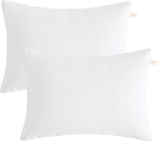 BEDSUM 2 Pack Pillows, 13"x18" Microfiber Pillow for Travel, Pets, Soft and Machine Washable Small Pillows for Neck, Wrist, and Knee Comfort, White