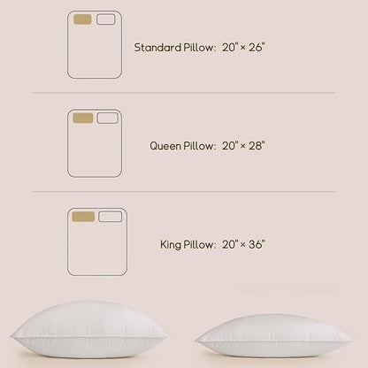 BHZ Down Feather Standard/Queen Pillows Set of 2 Pack, Luxury Hotel Collection Goose Bed Pillows for Sleeping Firm Soft Support for Side, Back, Stomach Sleepers for College Dorm Essentials, White