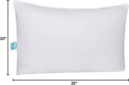 Pure Dream Firm Pillow Queen Pillow Medium Support, Queen Size 20x30 Inch Goose Feather Down Pillows, 100% Cotton Shell Pack of 1