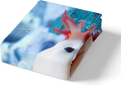 Cute Axolotl Duvet Cover Queen for Children,Seaweed Coral Conch Bedding Set Room Decor Gift Comforter Cover,Sea Creatures Theme Quilt Cover with 2 Pillowcases, 3 Pieces, Soft