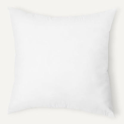 Amazon Basics Square Hypoallergenic Pillow Insert, Sofa Bed Couch Decorative Stuffer, 20", 2 Pack