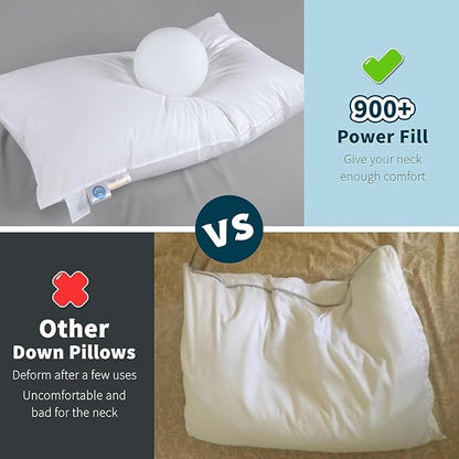 Shilucheng Canadian Goose Down Pillows Queen Size Set of 1, 900+ Fill Power Side Sleeper Pillow for Sleeping Neck Pain Relief,100% Cotton Shell 600 Thread Count Hotel Quality Pillows（White,20" x 30"）