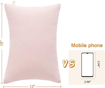 BEDSUM 2 Pack Pillows, 13"x18" Microfiber Pillow for Travel, Pets, Soft and Machine Washable Small Pillows for Neck, Wrist, and Knee Comfort, Pink