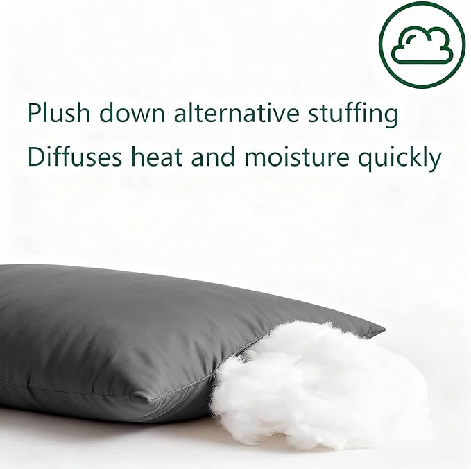 Flat Ultra Thin Bed Pillows Queen Size Pillow Set of 2 Extra Soft Down Alternative for Stomach Side Back Sleeper Dark Grey 20x30inches