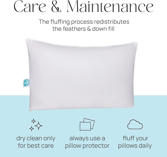 Standard Pillow Pure Dream Firm Pillow, Medium Support Hotel Pillow, Standard Size 20x26 Inch Goose Feather Down Pillows, Pack of 1