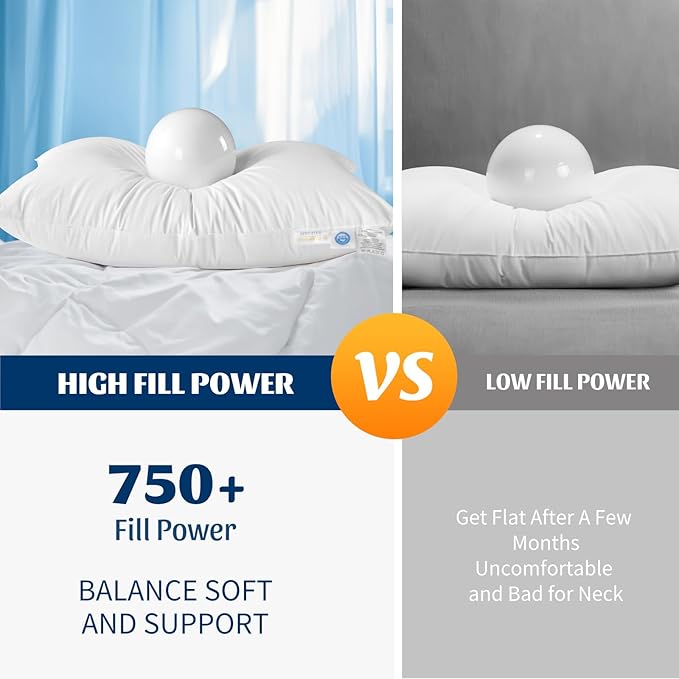 Hungarian White Goose Down Pillows Standard Size 80% Goose Down 20% Goose Feather 750+ Fill Power with 100% Cotton Shell Plush Bed Pillows (20"X26" Pack of 1)