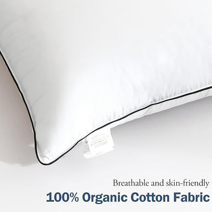 BPC Goose Feather Down Pillows King Size Set of 2, Luxury Hotel Collection Bed Pillows for Sleeping, 100% Organic Cotton Cover, Fluffy and Soft Support Surround Fill Polyester, Medium Firm, 20"x36"