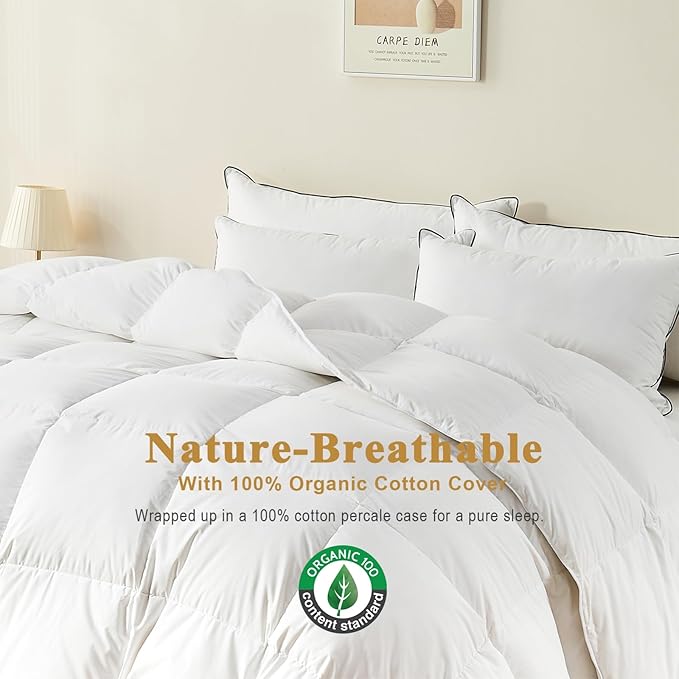 100% Organic Feather Down Comforter Oversized Queen, Luxury Extra-Fluffy Duvet Insert, All Season Bed Comforter with Ultra-Soft Organic Cotton Case (98x98 Inch, Ivory White)