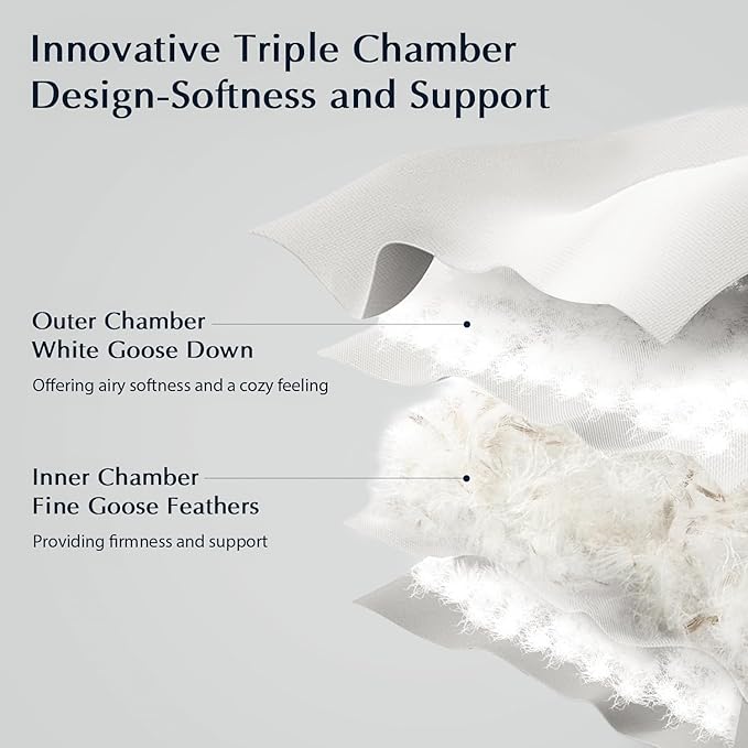 Pacific Coast Pillows Queen Size Set of 2, Goose Feather and Down Pillow for Sleeping, 3-Chamber Hotel Pillow for Side Sleepers and Back Sleepers