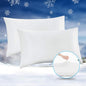 Avolare Cooling Pillow Cases, 2 Pack Arc-Chill Q-max>0.5 Cool King Size Summer Pillow Cover for Hair Skin, Soft Silky 20" x 36" Stain Pillowcase Protector with Zipper - White