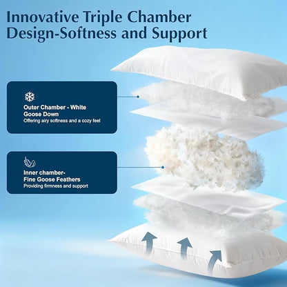 Luxury Goose Feather Down Pillow Standard Size, 100% Cotton Shell, 3-Chamber 5 Star Hotel Pillow for Deep Sleep, Soft Bed Pillows for Neck Pain Relief, Perfect for Side,Back Sleepers- 20"x26"