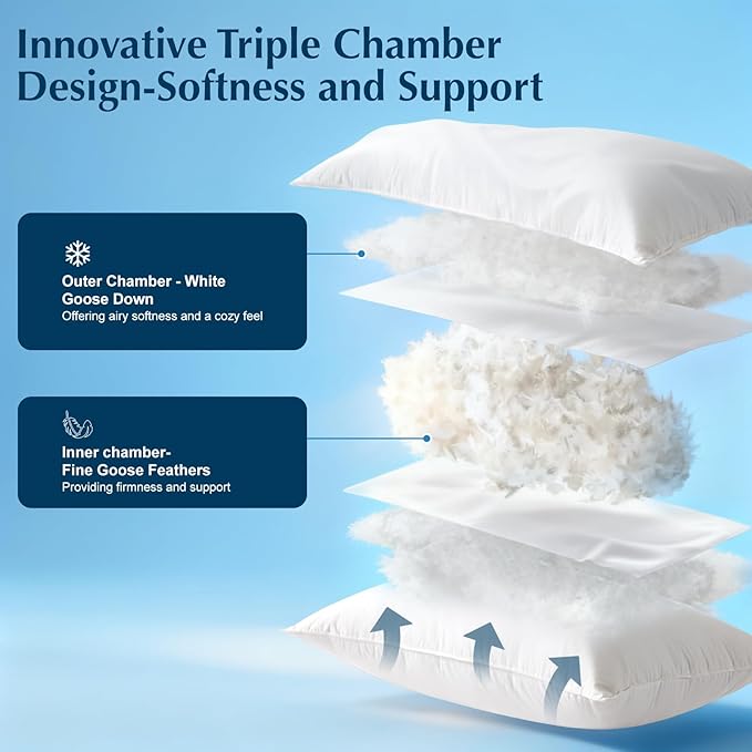 Luxury Goose Feather Down Pillows Standard Size Set of 2, 3-Chamber 5 Star Hotel Pillow for Deep Sleep, Soft Bed Pillows for Neck Pain Relief, Perfect for Side, Back Sleepers - 20"x26"