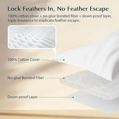 Pacific Coast Pillows Queen Size Set of 2, Goose Feather Down Pillow for Sleeping, Classic Diamond Pattern Hotel Pillow for Side Sleepers and Back Sleepers