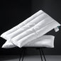 Three Geese Luxury Thin Flat Goose Feather Down Pillows Standard Size Set of 2, 3" Height, 100% Cotton Cover, Medium Firm Hotel Collection Ultra Slim Thin Bed Pillows, Machine Washable, 18 x 26 Inches