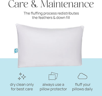 Pure Dream Pillow, Queen Size Set Down Pillows, Firm & Medium Support Pillows, 100% Cotton Shell, Set of 2