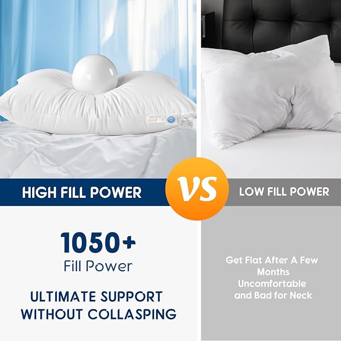 LBRO2M Canadian Fluffy Goose Down Pillow King Size 1050 Fill Power 80% Goose Down with 600TC 100% Cotton Pillow Shell Down Pillows Ideal for Plush Comfort and Support (20"X36", Set of 1)
