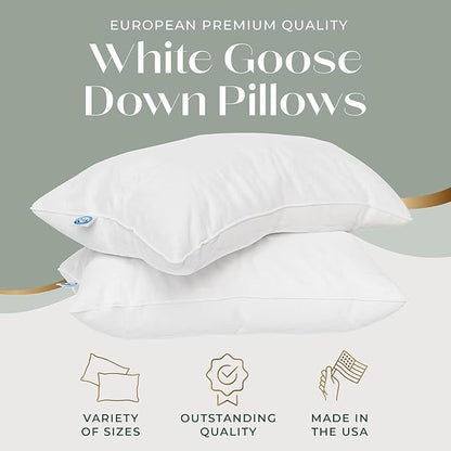 European 800FP Goose Down Sleeping Bed Pillow, King (Pack of 2), White