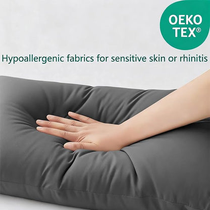 Flat Ultra Thin Bed Pillows Queen Size Pillow Set of 2 Extra Soft Down Alternative for Stomach Side Back Sleeper Dark Grey 20x30inches