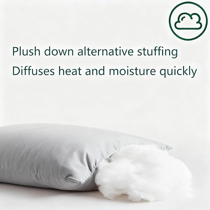 Flat Ultra Thin Bed Pillows Queen Size Pillow Set of 2 Extra Soft Down Alternative for Stomach Side Back Sleeper Light Grey 20x30inches