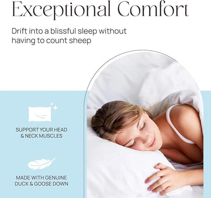 Pure Dream Firm Pillow Queen Pillow Medium Support, Queen Size 20x30 Inch Goose Feather Down Pillows, 100% Cotton Shell Pack of 1
