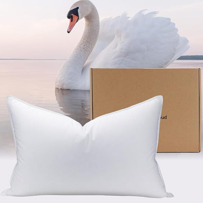 White Goose Down Pillow - Luxury Hotel Bed Pillow with Natural 900+ Fill Power, Goose Feather Pillow for Sleeping, 600 Thread Count Cotton Shell, Queen Size- Medium, 1 Pack