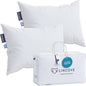 Lincove Cloud Natural Canadian Down Pillow, White Luxury Sleeping Pillow - 625 Fill Power, 500 Thread Count Cotton Shell, Made in Canada, King - Firm, 2 Pack