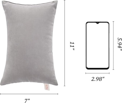 BEDSUM 2 Pack Tiny Pillows, 11"x7" Microfiber Mini Pillow for Travel, Pets, Soft and Machine Washable Small Pillows for Neck, Wrist, and Knee Comfort, Light Grey