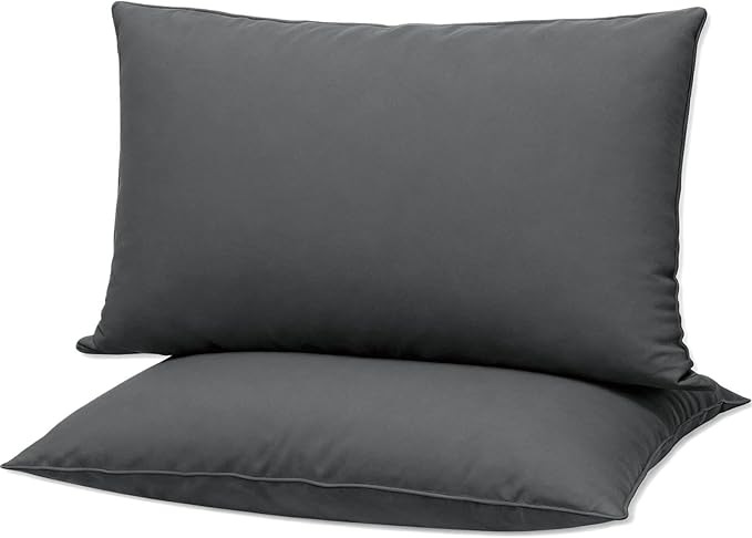 Flat Ultra Thin Bed Pillows Queen Size Pillow Set of 2 Extra Soft Down Alternative for Stomach Side Back Sleeper Dark Grey 20x30inches