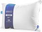 Continental Bedding | Serenity Goose Down Pillow | 700 Fill Power Hungarian White Down | 400TC Cotton Damask Shell | Made in USA | Queen, Firm