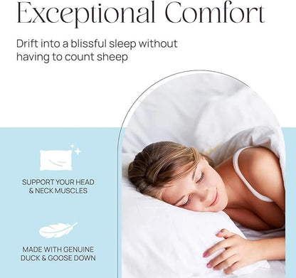 Standard Pillow Pure Dream Firm Pillow, Medium Support Hotel Pillow, Standard Size 20x26 Inch Goose Feather Down Pillows, Pack of 1