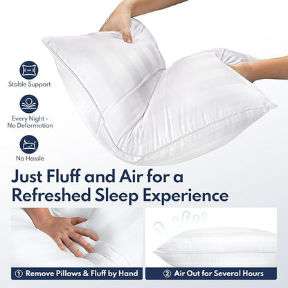 DIORIS Pillows Queen Size Set of 2 - Luxury Hotel Collection Bed Pillows for Sleeping, Supportive Fluffy Down Alternative Microfiber Filled for Back, Stomach Sleepers, Breathable & Skin-Friendly