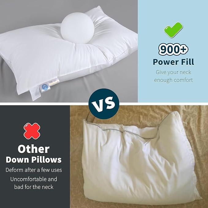 Shilucheng Canadian Goose Down Pillows Queen Size Set of 2, 900+ Fill Power Side Sleeper Pillow for Sleeping Neck Pain Relief,100% Cotton Shell 600 Thread Count Hotel Quality Pillows（White,20" x 30"）