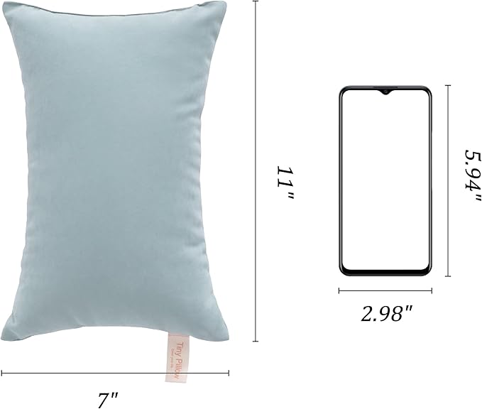 BEDSUM 2 Pack Tiny Pillows, 11"x7" Microfiber Mini Pillow for Toddler, Travel, Pets, Soft and Machine Washable Small Pillows for Neck, Wrist, and Knee Comfort, Sea Green