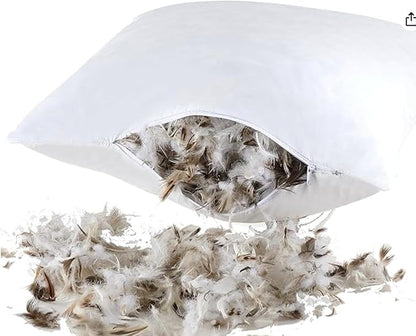 Decorative Pillow for Living Room, Sofa, Bed, Home Decoration, Commerical Enviroment - CAL117 Regulated - Pack of 2 (50/50 Down Feather Blend, Brightside, 20" x 20")