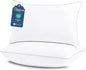 CozyLux Pillows Queen Size Set of 2, Hotel Quality Bed Pillows for Sleeping 2 Pack, Cooling Pillows for Side Back and Stomach Sleepers, Down Alternative Luxury Soft Supportive Fluffy Pillows (18x28)